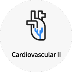 Cardiovascular Ⅱ