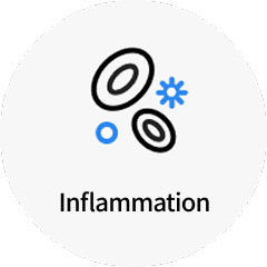 Inflammation