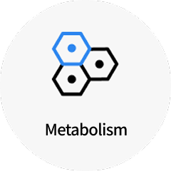Metabolism
