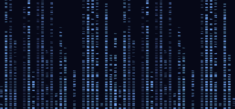 인간 게놈 염기서열